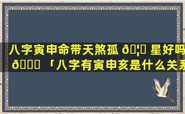 八字寅申命带天煞孤 🦋 星好吗 💐 「八字有寅申亥是什么关系」